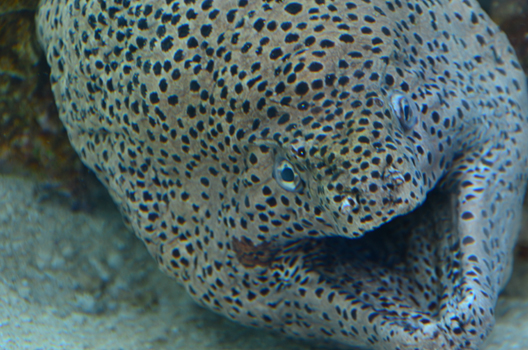 DSC_1766.jpg