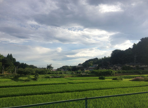 2012071501.jpg
