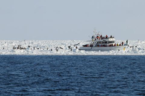 130221cruse 135_s