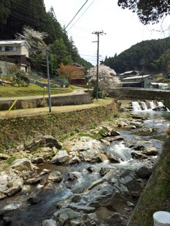369号線川沿い