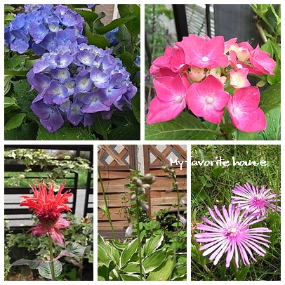 紫陽花#2