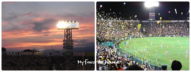 甲子園