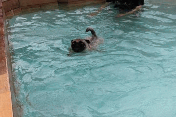 20120731-232348-89763400.gif