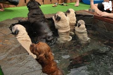 20120805234035715_20120806154005.jpg