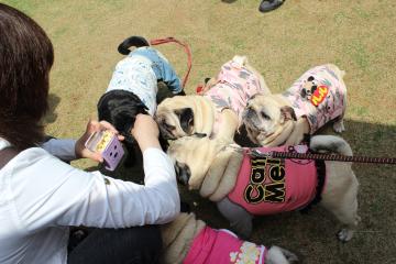 IMG_0134_convert_20120515231242.jpg