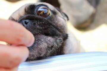 IMG_0154_convert_20120515232217.jpg