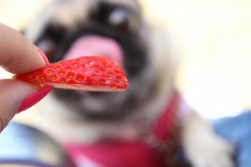 IMG_0158_convert_20120515232457.jpg