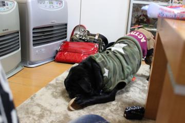IMG_0239_convert_20120522232047.jpg