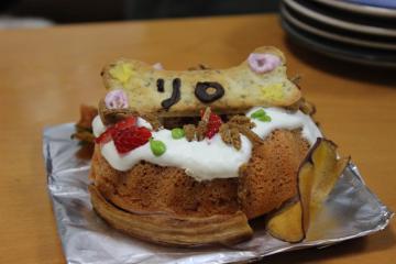 IMG_0242_convert_20120522232241.jpg