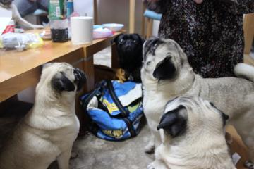 IMG_0249_convert_20120522232519.jpg