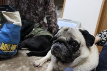 IMG_0250_convert_20120522231942.jpg