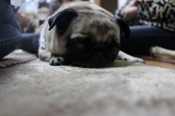 IMG_0252_convert_20120522232719.jpg