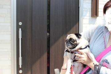 IMG_0264_convert_20120506222735.jpg