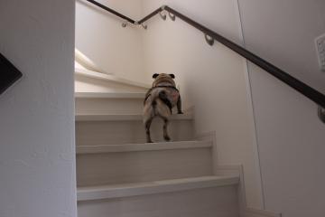 IMG_0272_convert_20120506223416.jpg