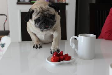 IMG_0277_convert_20120506223730.jpg