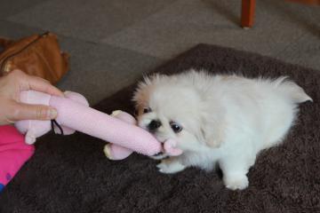 IMG_0306_convert_20120604235313.jpg