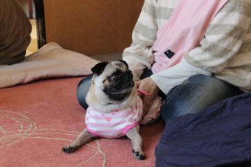 IMG_0321_convert_20120604234426.jpg