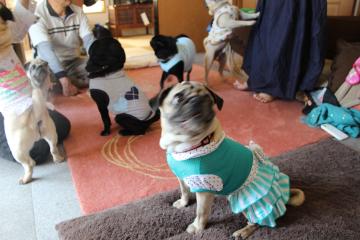 IMG_0323_convert_20120604235525.jpg
