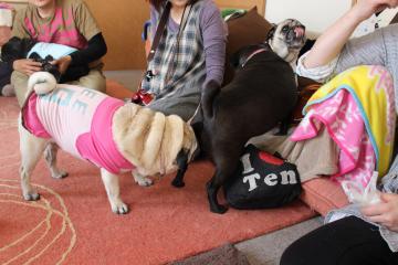 IMG_0329_convert_20120604234837.jpg