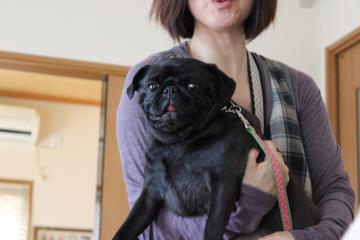IMG_0333_convert_20120604235108.jpg