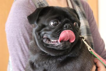IMG_0336_convert_20120604235015.jpg