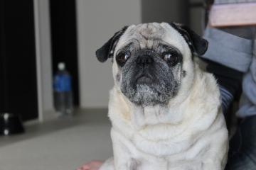 IMG_0363_convert_20120612225027.jpg