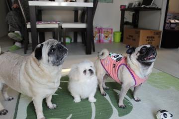 IMG_0376_convert_20120612225612.jpg
