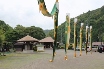 IMG_0423_convert_20120620232053.jpg