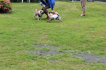 IMG_0430_convert_20120620232544.jpg