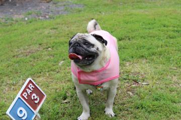 IMG_0433_convert_20120620232634.jpg