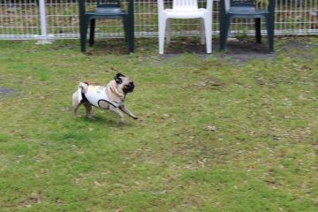IMG_0437_convert_20120620232716.jpg