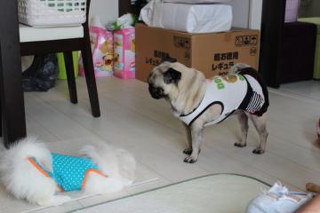 IMG_0451_convert_20120625224751.jpg