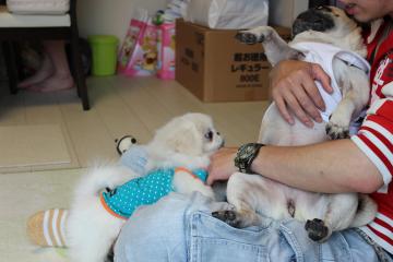 IMG_0465_convert_20120625224957.jpg