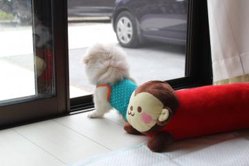 IMG_0469_convert_20120625225129.jpg