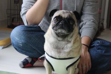 IMG_0471_convert_20120625225237.jpg
