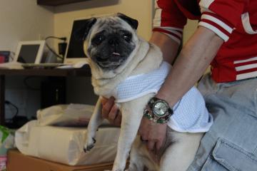 IMG_0473_convert_20120625230919.jpg