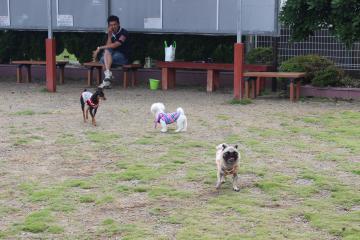 IMG_0485_convert_20120625225857.jpg