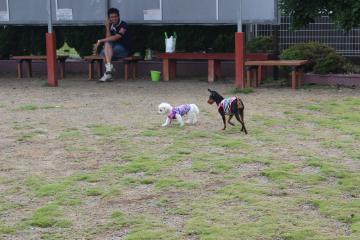 IMG_0487_convert_20120625225947.jpg