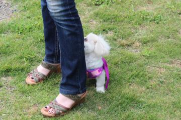 IMG_0492_convert_20120625230439.jpg