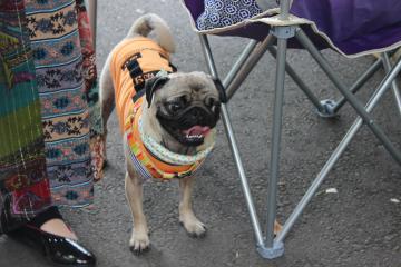 IMG_0497_convert_20120702223900.jpg