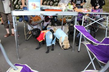 IMG_0504_convert_20120702223543.jpg