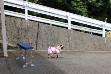 IMG_0508_convert_20120702223458.jpg