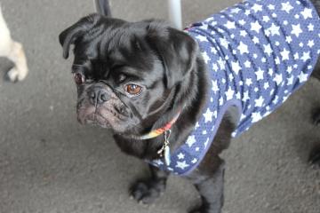 IMG_0517_convert_20120702223141.jpg