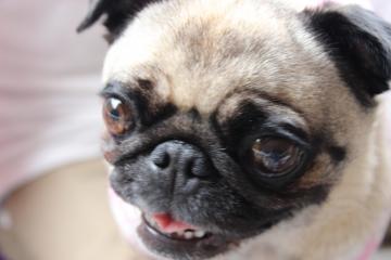 IMG_0523_convert_20120702222804.jpg