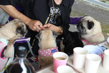 IMG_0532_convert_20120702222532.jpg