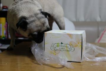 IMG_0545_convert_20120706234111.jpg