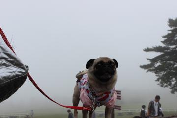 IMG_0571_convert_20120712232517.jpg