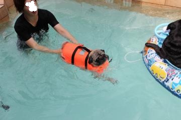 IMG_0584_convert_20120731224532.jpg