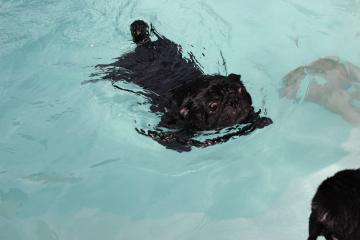 IMG_0588_convert_20120731225031.jpg