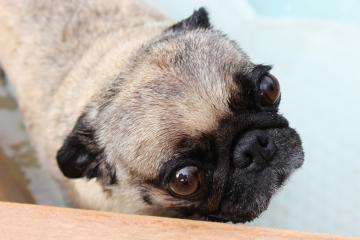 IMG_0599_convert_20120731225955.jpg